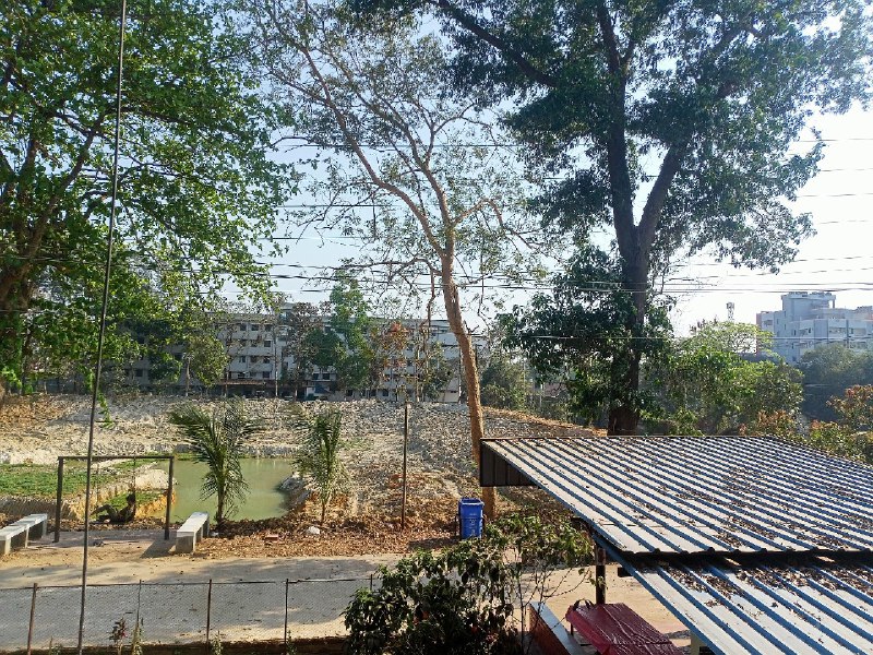 View from my dorm window(2nd floor). Construction works are going on in the pond.